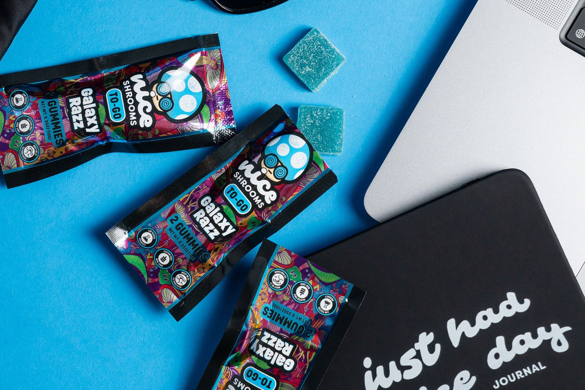 Grab, Go, Enjoy: Nice Shrooms TO-GO Mushroom Gummies for Life on the Move - Nice Shrooms